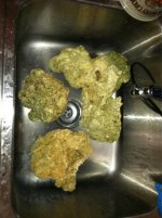 ImageUploadedByReefs1344220937.879140.jpg