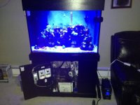 ImageUploadedByTapatalk1351649645.956806.jpg