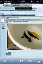 photo.jpg