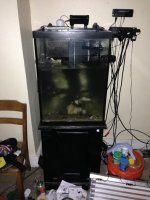 ImageUploadedByReefs1351803944.688999.jpg