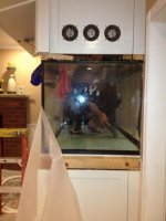 ImageUploadedByReefs1356157686.684796.jpg