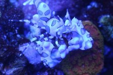 IMG_3993.JPG