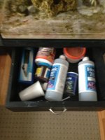 ImageUploadedByReefs1364154382.414758.jpg