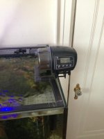 ImageUploadedByReefs1364154422.165588.jpg