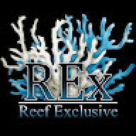 ALEXANDER KOLESNIKOV