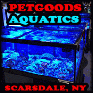 PET GOODS SCARSDALE