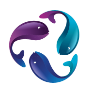 DrTim