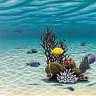 underwatercreations