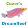 cozer