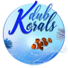 Kdub Korals