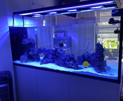 www.manhattanreefs.com