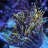 Reefncj
