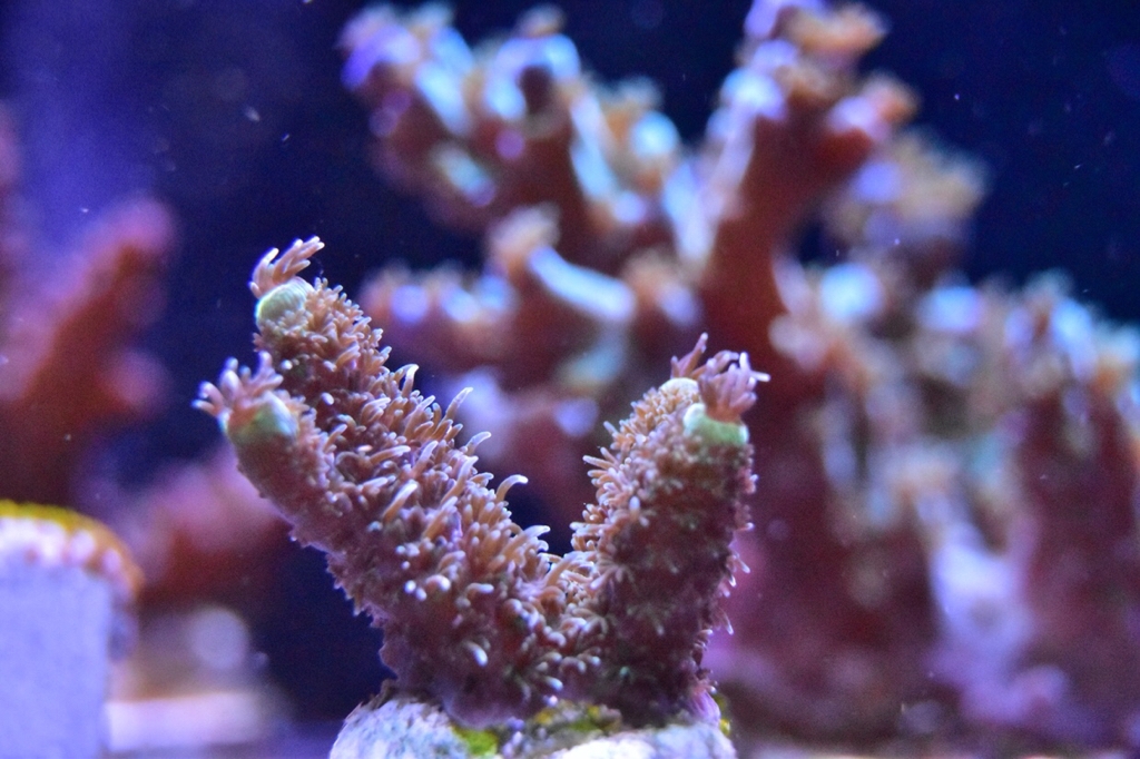 f79001d4f229afa6e036610bce27325f.jpg