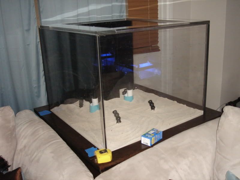 2008_0318100g-square0002.jpg