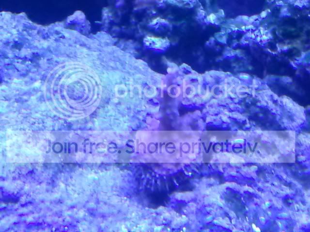 CAM01236.jpg