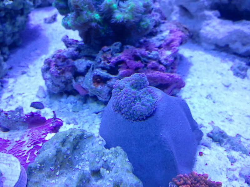 2011-04-21120249.jpg