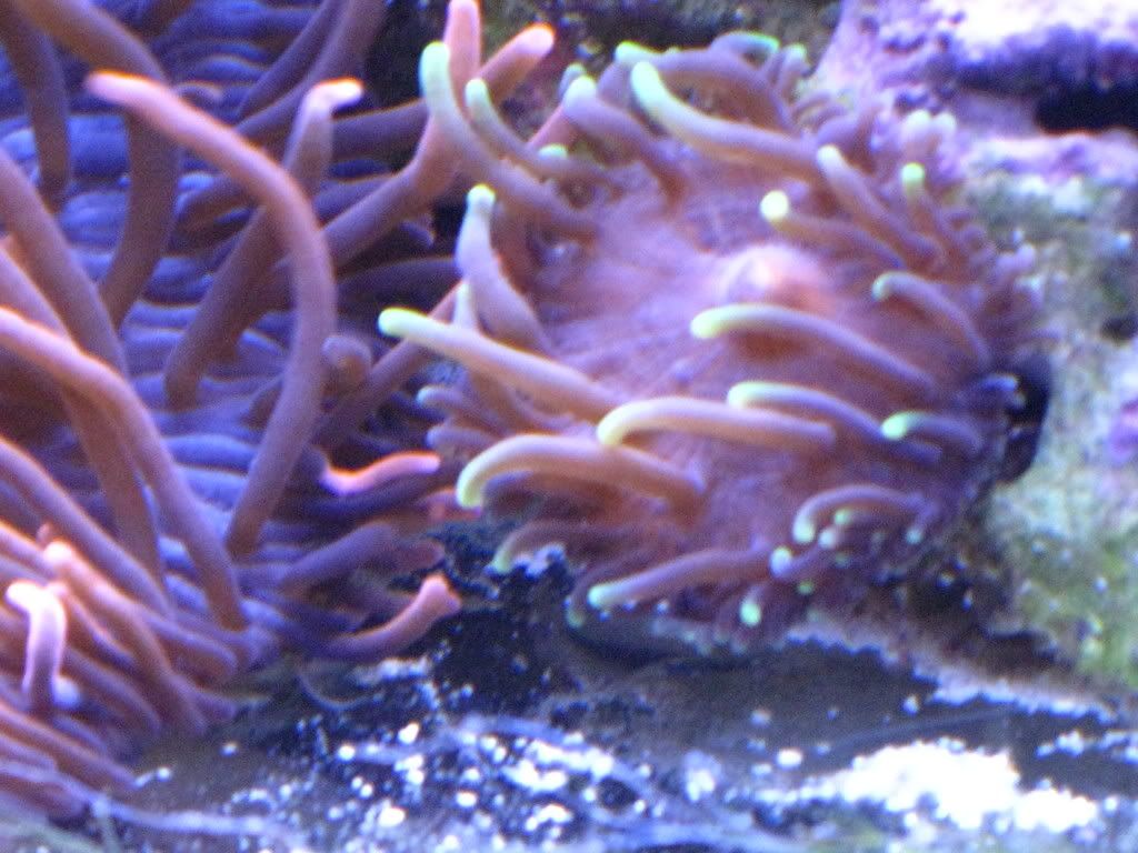 IMG_0175.jpg