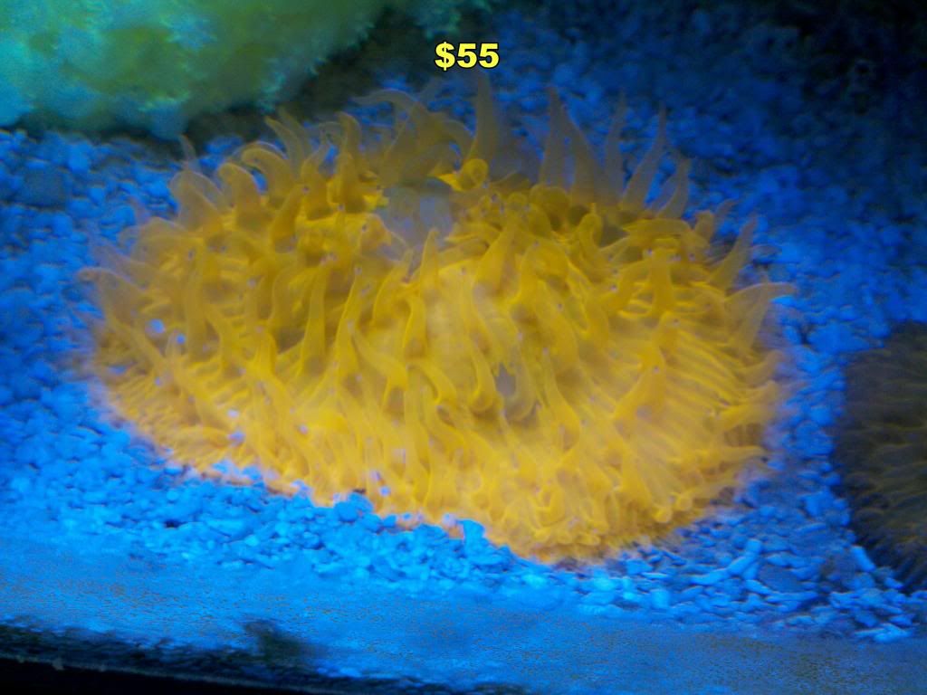 2013-01-23_14-59-40_891_zps19cd2ee3.jpg