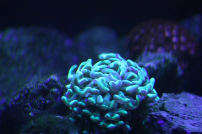 8a4e4b07.jpg
