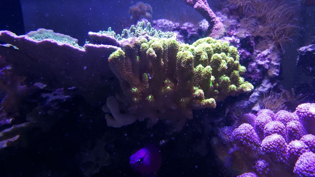 20150601_164232.jpg