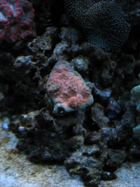 tank020914.jpg