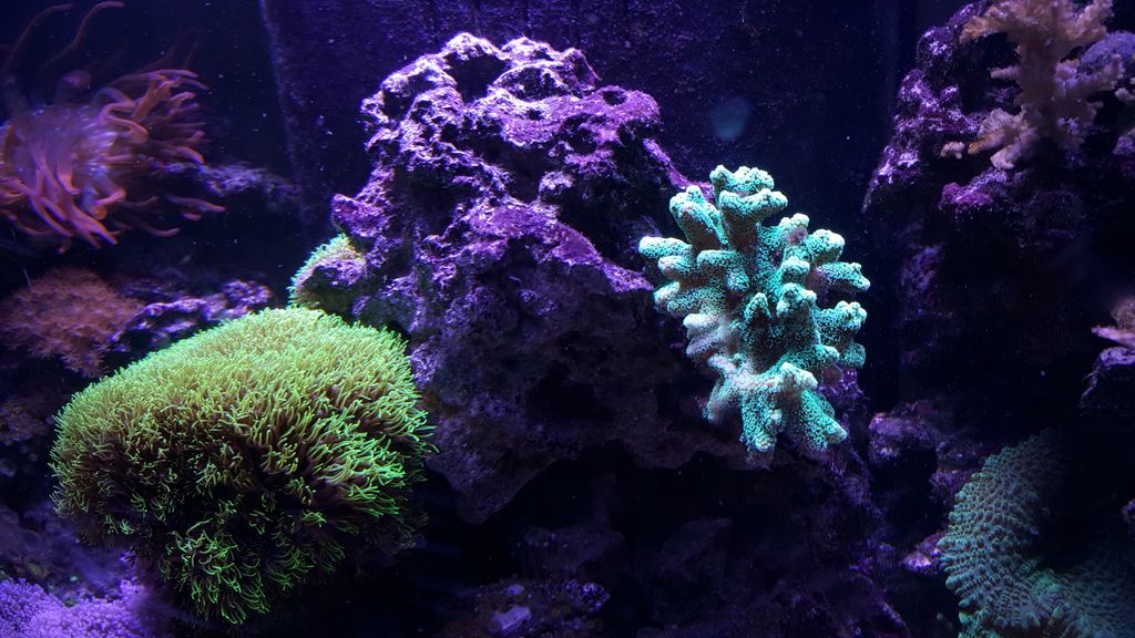 20150601_164100.jpg