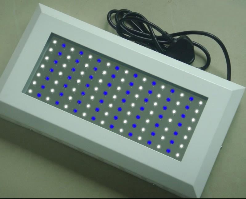 120w.jpg