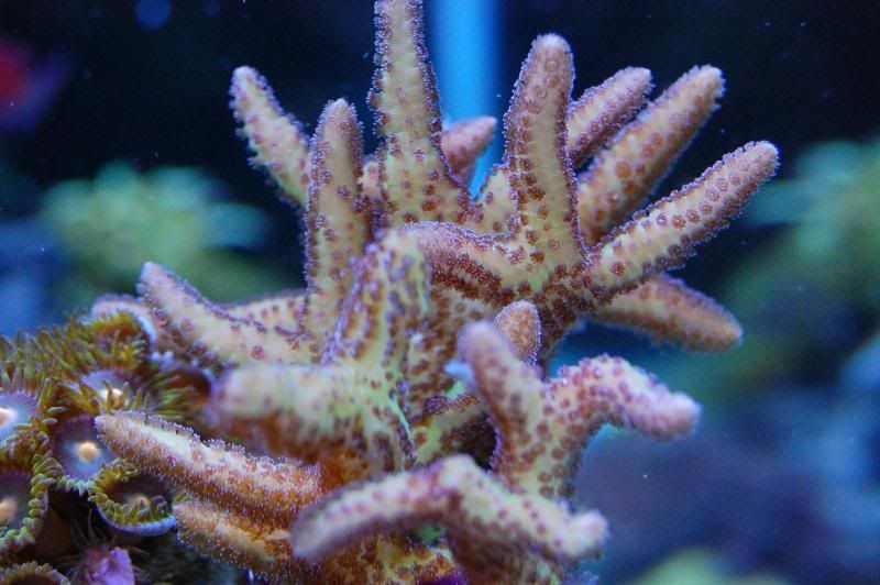 DSC_0944.jpg