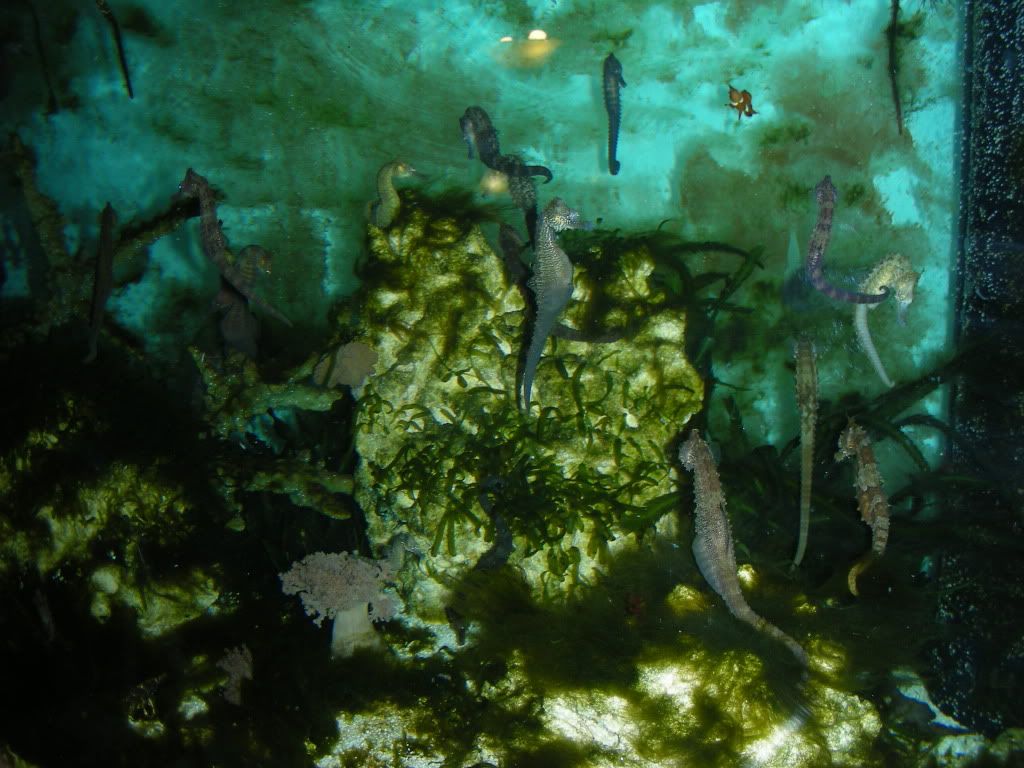 DSCN1686.jpg