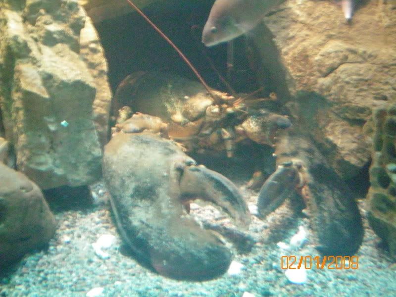 100_0127.jpg