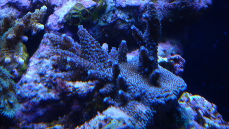 DSCN1774.jpg