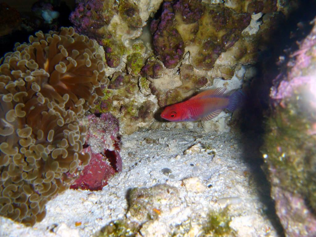DSC02276_edited.jpg