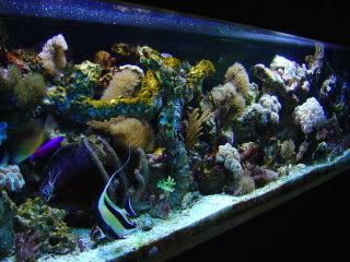 CopyofDSC00922.jpg