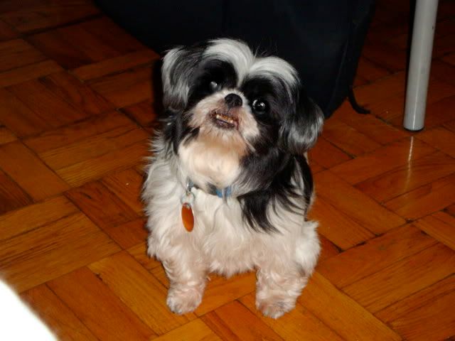 DSC00033.jpg