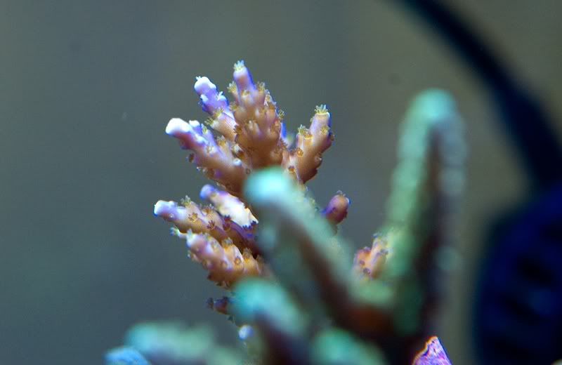 DSC_3662.jpg
