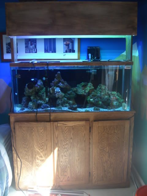 DSC01873.jpg