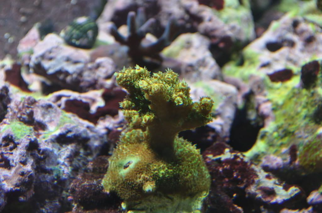 DSC_0366.jpg