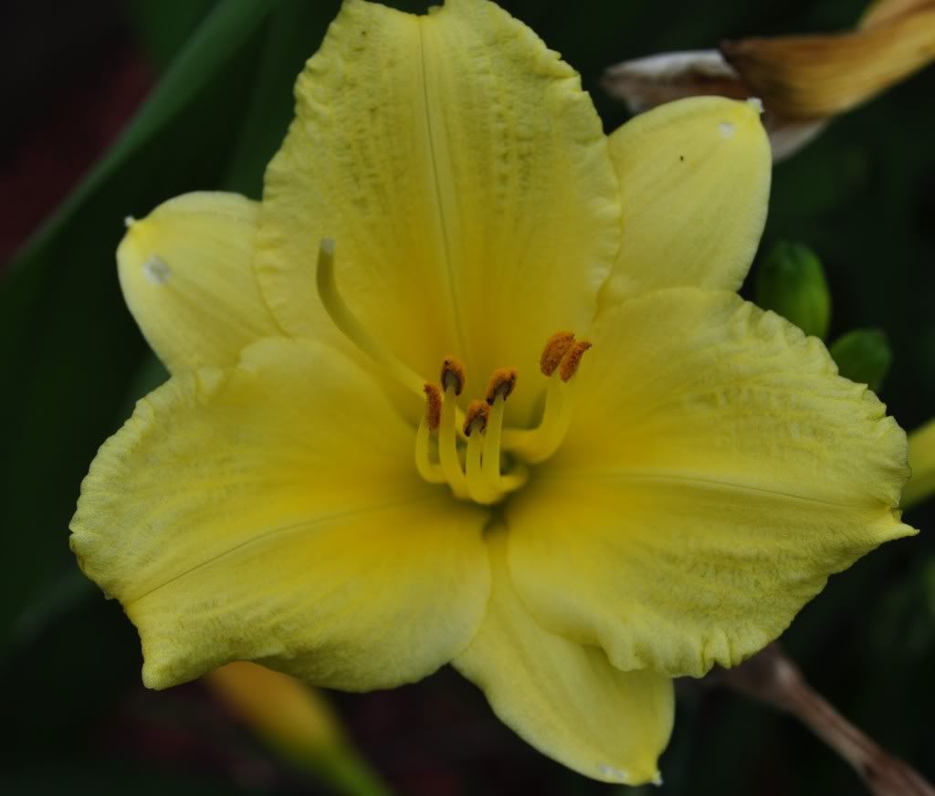 DSC_0098.jpg