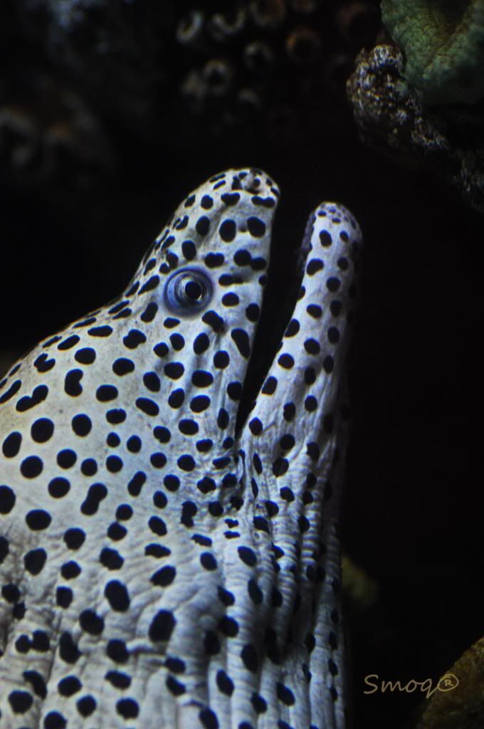 DSC_0261.jpg