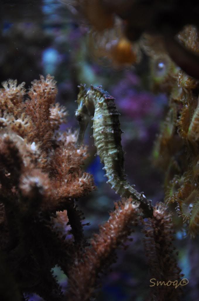 DSC_0306.jpg