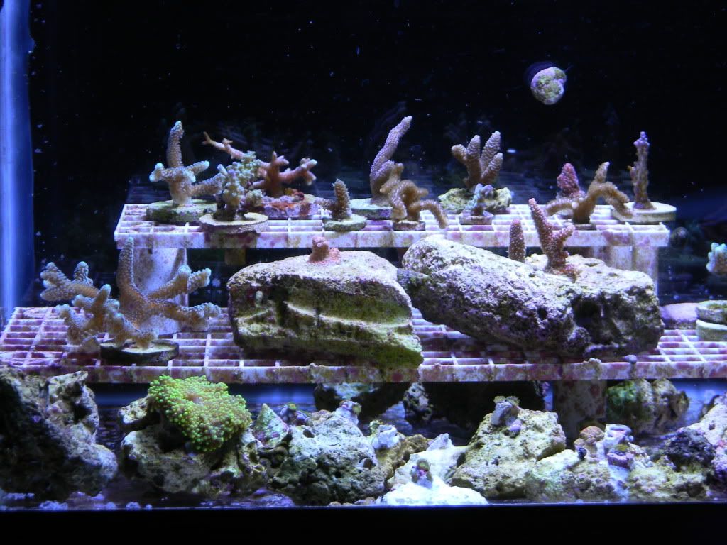 Picture103.jpg