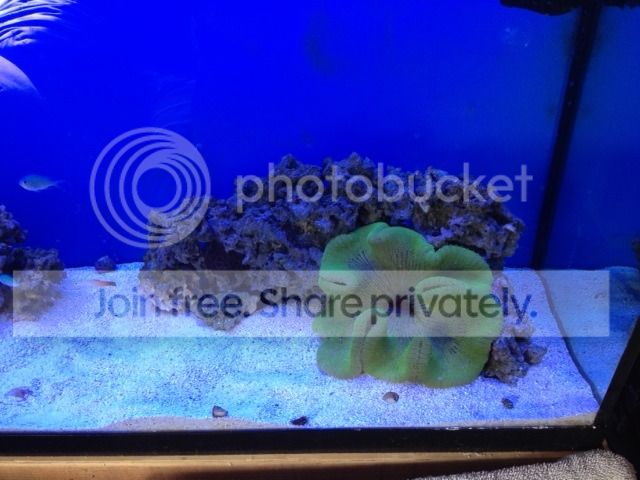 photo12.jpg