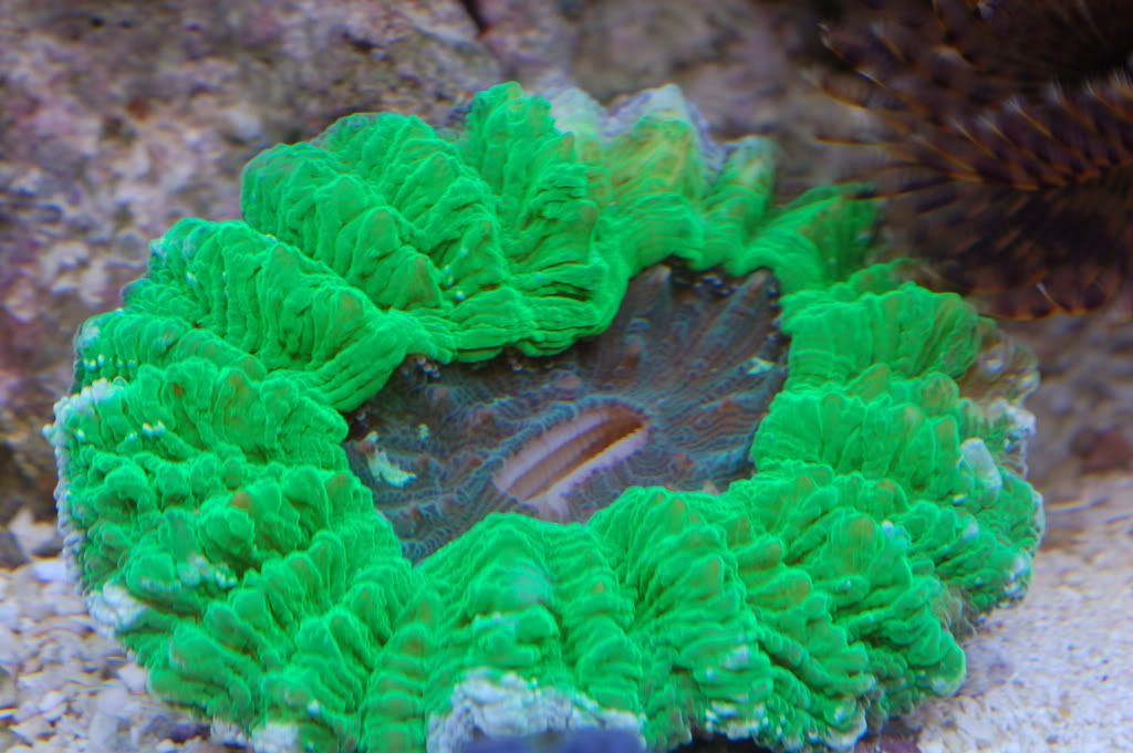DSC_0099.jpg