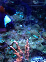 8618077671_826afef088_m.jpg