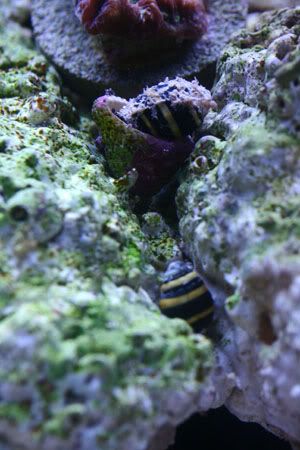 IMG_2002.jpg