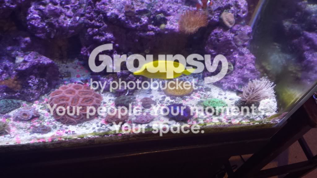 20130912_123539.jpg