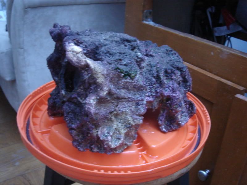 2007_1127tunze0022.jpg