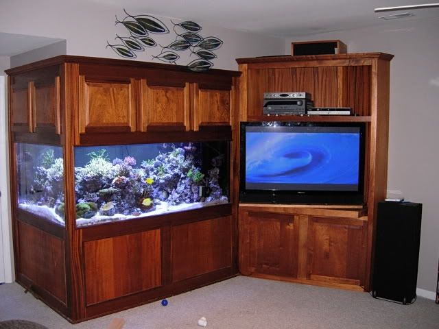 DSCN0207.jpg
