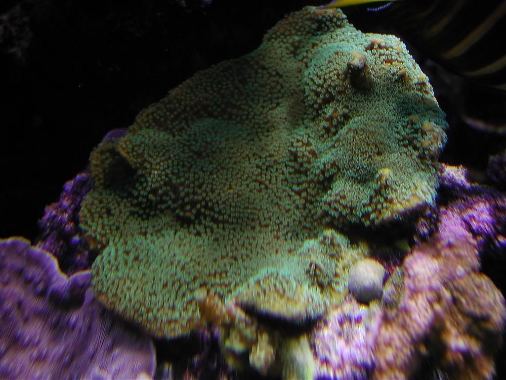 P1010528.jpg