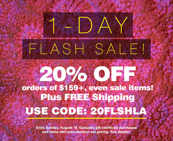 081918_3018_LA_PROMO_Homepage.jpg